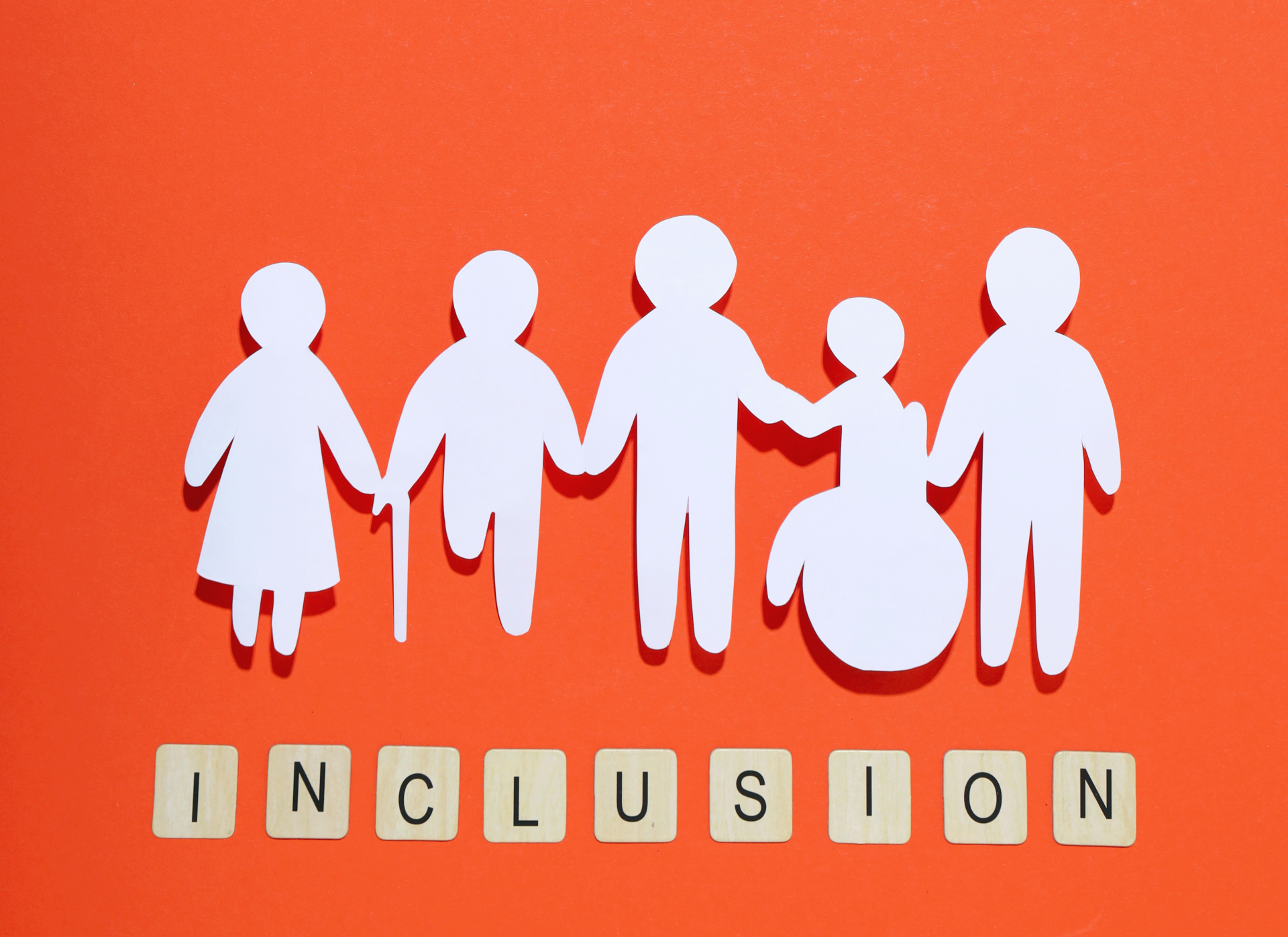 concept of diversity inclusion and equality