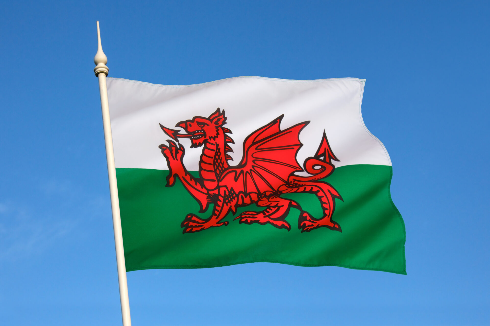 Flag of Wales to represent Safeguarding Wales
